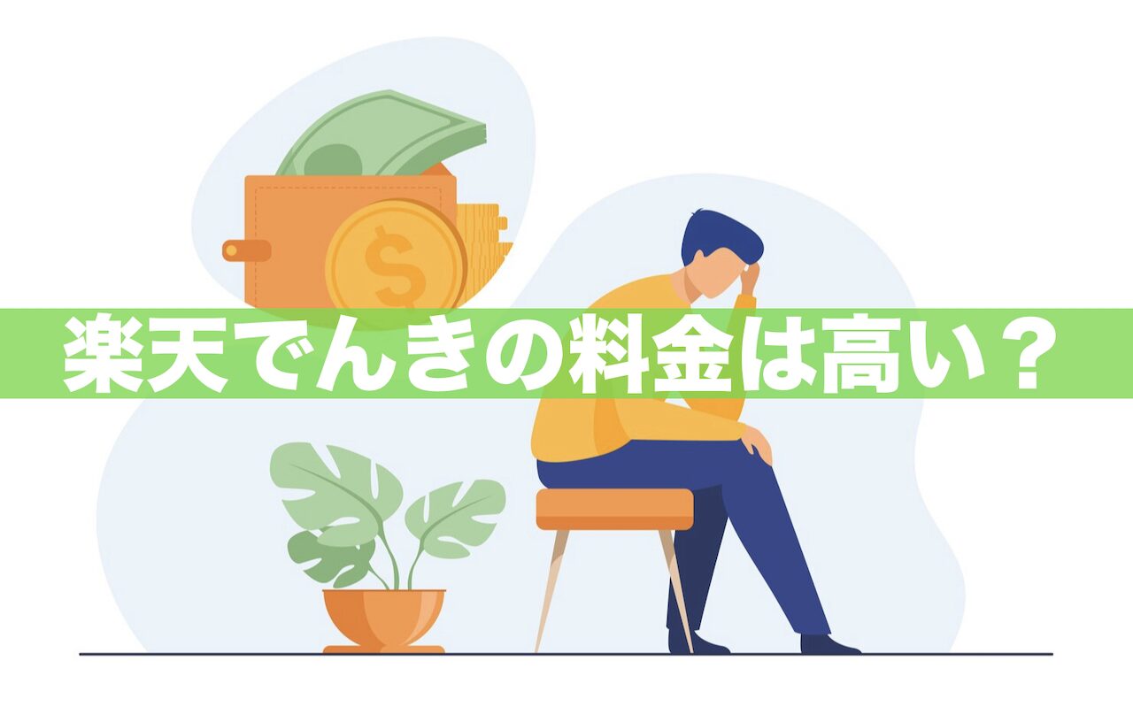 【全12社を比較】楽天でんきの料金は高い？私の1年間の料金を公開！